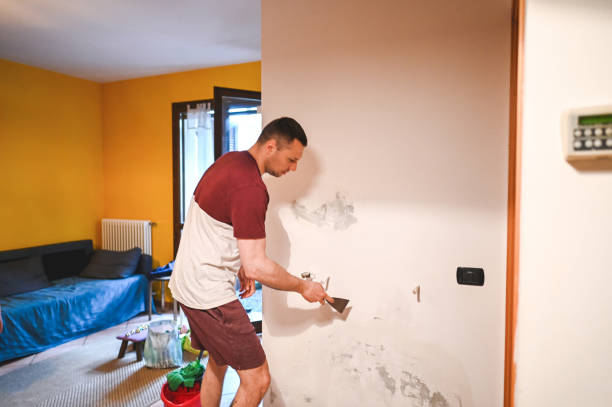Mold Removal Process in Highland Acres, DE